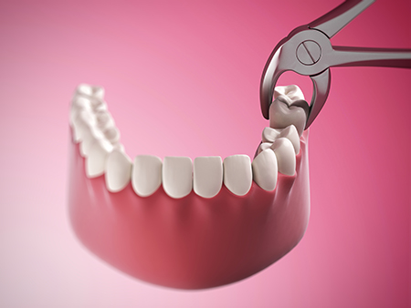 John F. Adams DDS