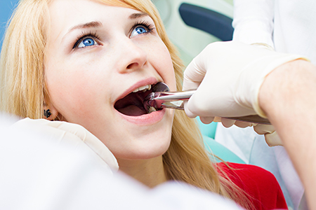 John F. Adams DDS