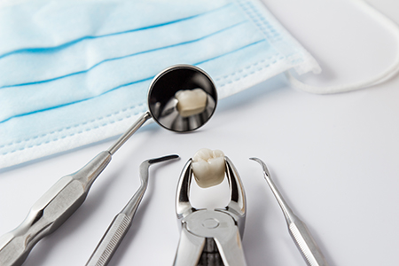 John F. Adams DDS